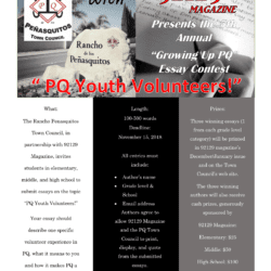 A newsletter with the cover of pq youth volunteers
