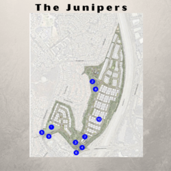 A map of the junipers with blue dots in each area.
